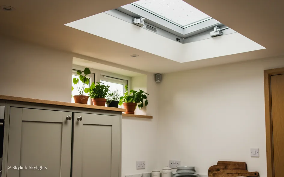Utility area with a cupboard, plants on the sill and a rooflight